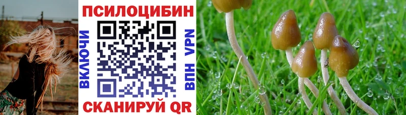 blacksprut ссылка  купить закладку  Нефтегорск  Галлюциногенные грибы мухоморы 